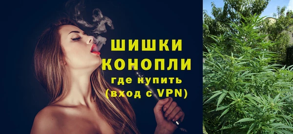 прущие грибы Верхнеуральск
