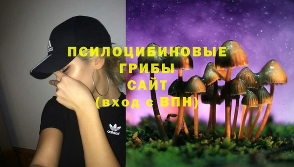 круглые Бронницы