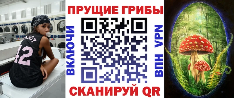 Псилоцибиновые грибы GOLDEN TEACHER как найти закладки Лысьва